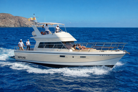 Tenerife: Private Yacht Charter for Whale and Dolphin Watching, with Lunch and Swim Tenerife: Private yacht rental for whale watching with food and a swim
