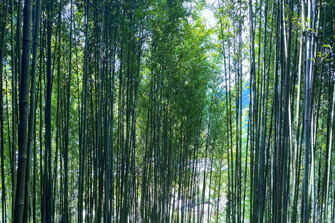 Randonnée dans le village de Red Dao et bain aux herbes