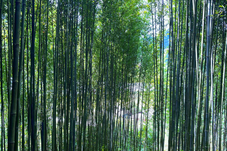 Randonnée dans le village de Red Dao et bain aux herbes