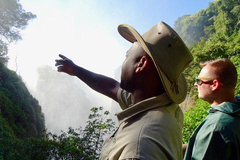 Visita guiada transfronteriza a las cataratas Victoria