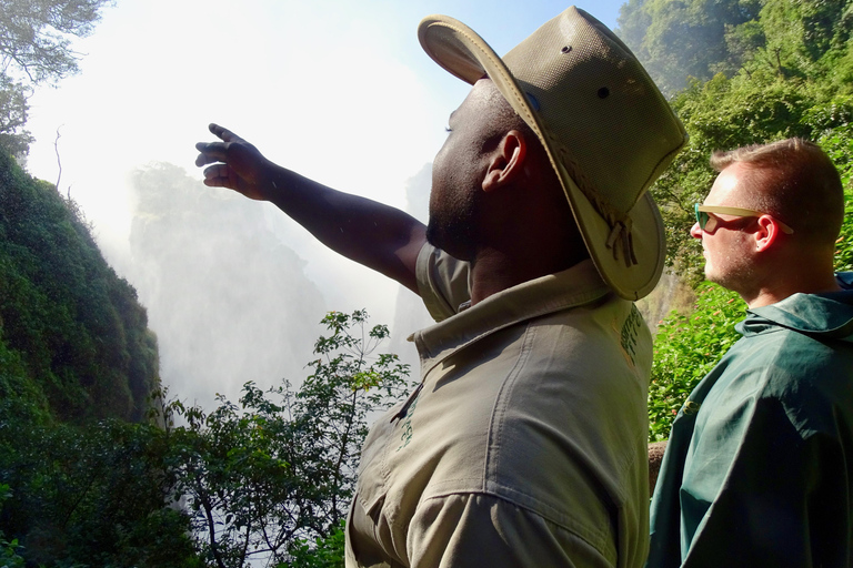 Visita guiada transfronteriza a las cataratas Victoria