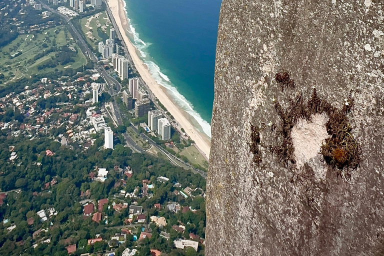 Pedra da Gávea Rio de Janeiro Summit Hike