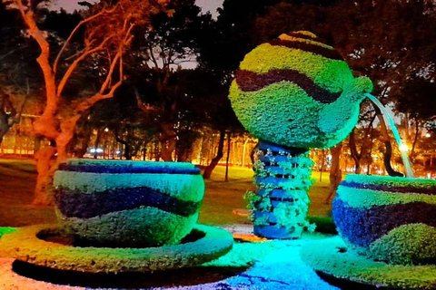 Lima: Circuito magico dell&#039;acqua e tour serale delle luci della città