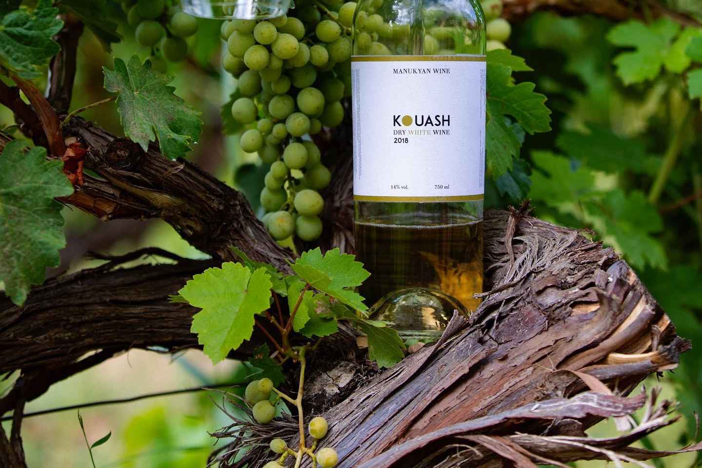 A One-Day Culinary Journey from Yerevan