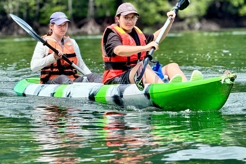 Langkawi: Kayak con le mangrovie di Farly