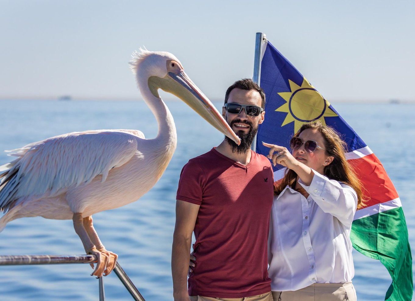 Walvis Bay: Marine Big 5 luksus katamaran tur