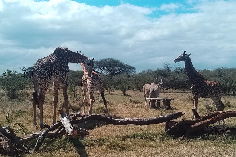 Mombasa: Wildlife Sanctuary Guided Nature Trail Tour Wildlife Sanctuary Guided Nature Trail Tour