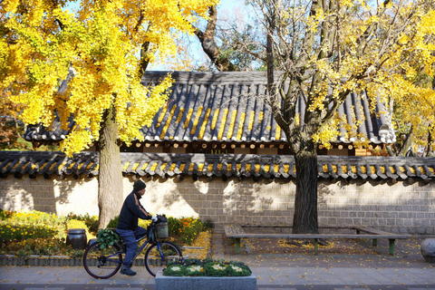 From Seoul: Jeonju Hanok Village & Jangtaesan Day Trip Hongik Univ. Station Exit 4