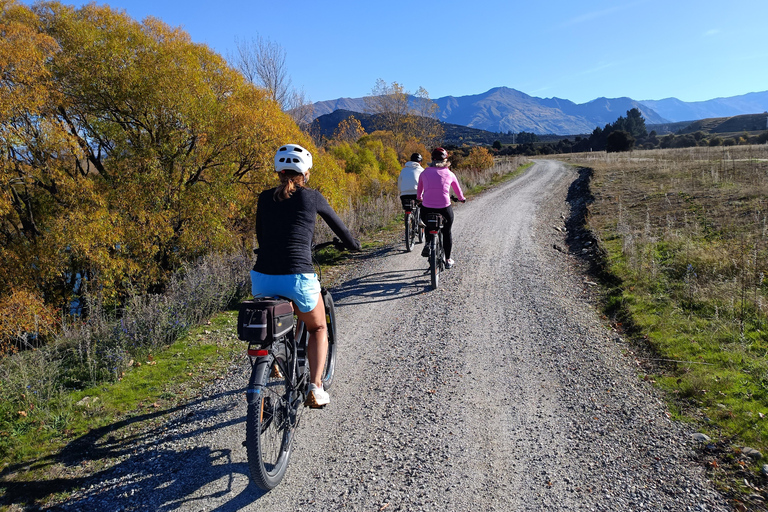 Wānaka: Gladstone Track and Wanaka Trails on Bike or eBike E-Bike and Shuttle Included