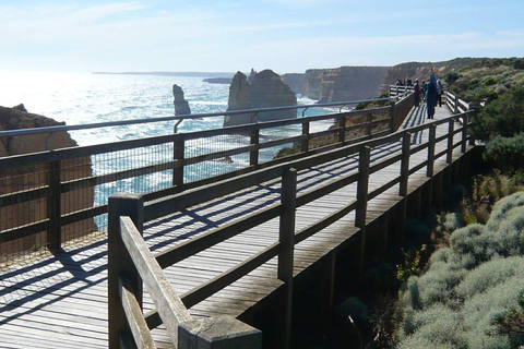 Tour di 2 giorni per piccoli gruppi della Great Ocean RoadGiro inglese