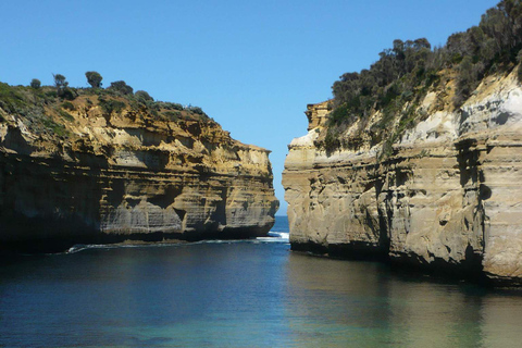 Tour di 2 giorni per piccoli gruppi della Great Ocean RoadGiro inglese