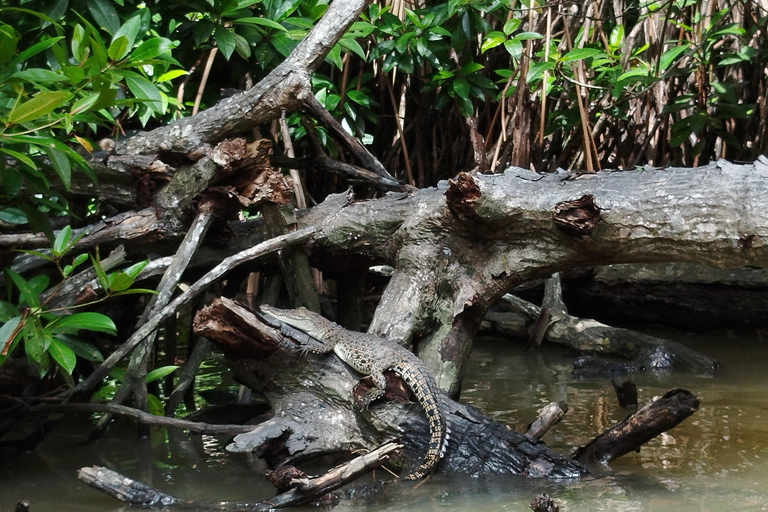 Bentota Boat Safari Experience – Nature Wildlife Relaxation
