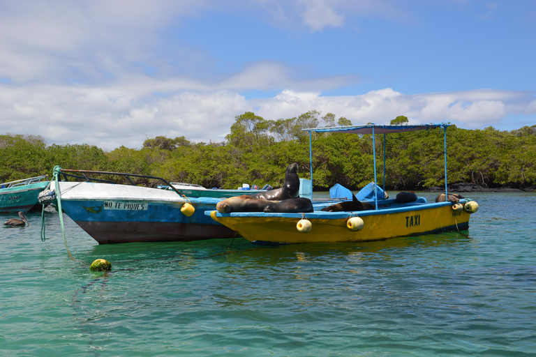 From Puerto Ayora: Isabela Island & Tintorera Islet Day Tour From Puerto Ayora: Isabela Island & Tintorera Islet Day tour