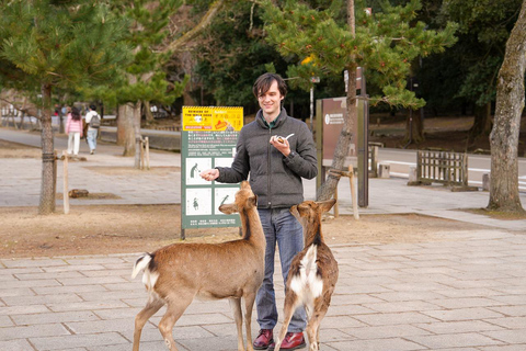 Excursión Privada de un Día a lo Más Destacado de Nara y Osaka