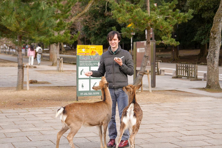 Excursión Privada de un Día a lo Más Destacado de Nara y Osaka