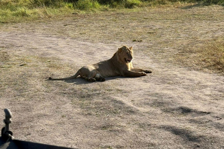 Diani/Mombasa: 2 Days to Tsavo East & Tsavo West with meals