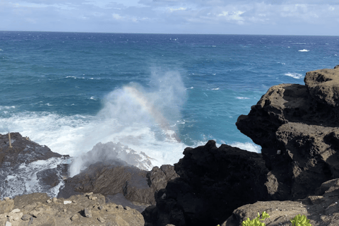 Oahu: Wycieczka prywatna Waikiki - Pełny krąg wysp - Możliwość dostosowania