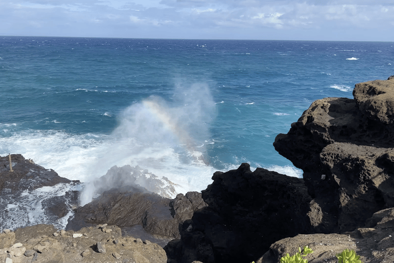 Oahu: Wycieczka prywatna Waikiki - Pełny krąg wysp - Możliwość dostosowania