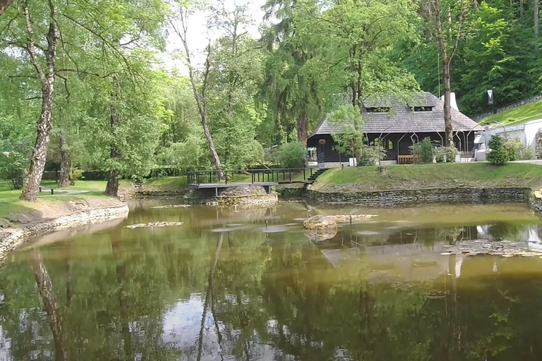 Day Trip from Bucharest:Peleș Castle,Dracula Castle & Brașov