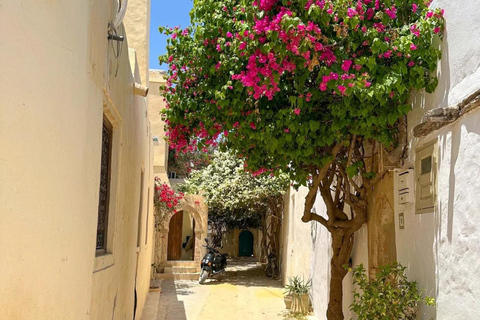 Djerba: Island Tour Snack, Synagogue, Souk, and Sunset