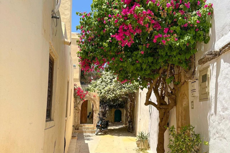 Djerba: Island Tour Snack, Synagogue, Souk, and Sunset