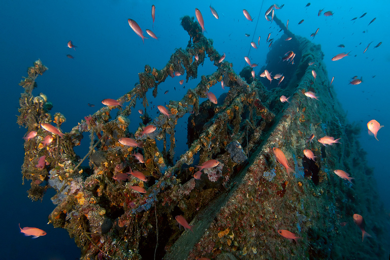 Dubrovnik: Paquete de buceo de 1 día