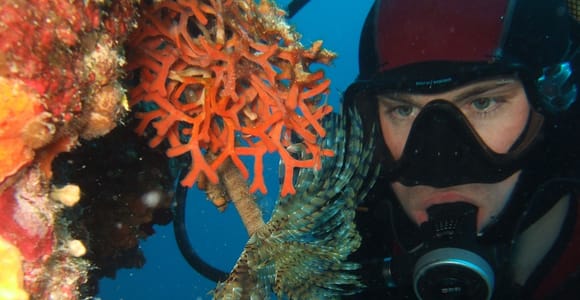 Dubrovnik: 1-Tages-Tauchpaket