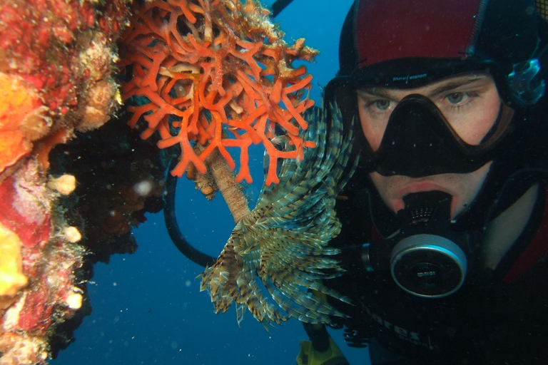 Dubrovnik: Paquete de buceo de 1 día