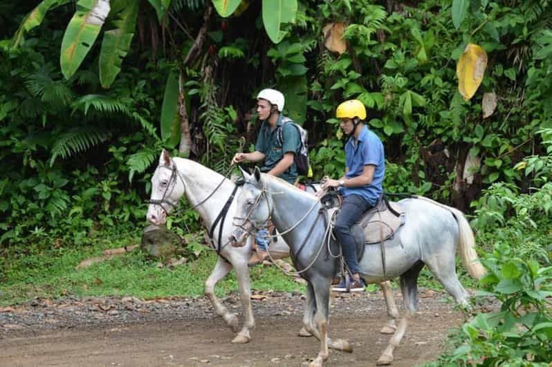 Från Manuel Antonio: Ridning Med Lunch Eller Middag | GetYourGuide