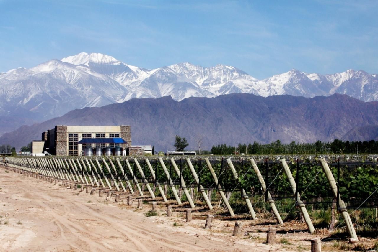 Mendoza: Halbtagestour mit Wein- und Olivenölverkostung
