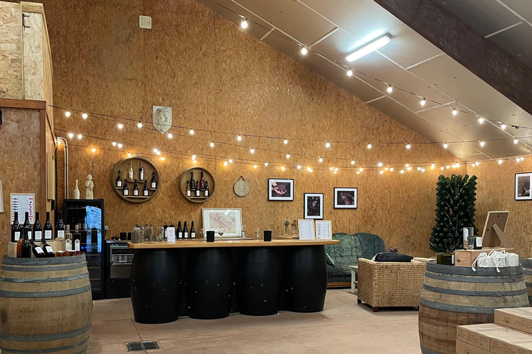 Educational hike in the Anjou vineyards Wine Hike