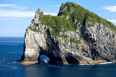 From Auckland: Hole in the rock cruise tour