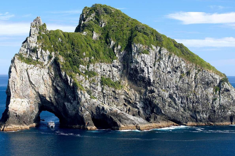 From Auckland: Hole in the rock cruise tour