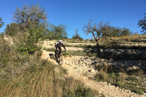 Dénia: Elektrische Mountainbike-Tour um das Montgó-GebirgeDénia: Elektrische Mountainbike-Tour um Montgó