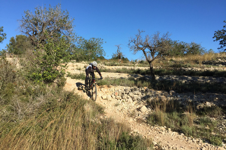 Dénia: Elektrische Mountainbike-Tour um das Montgó-GebirgeDénia: Elektrische Mountainbike-Tour um Montgó