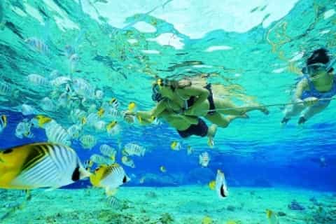Ixtapa Island Escape: 5-Hour Tour with Lunch