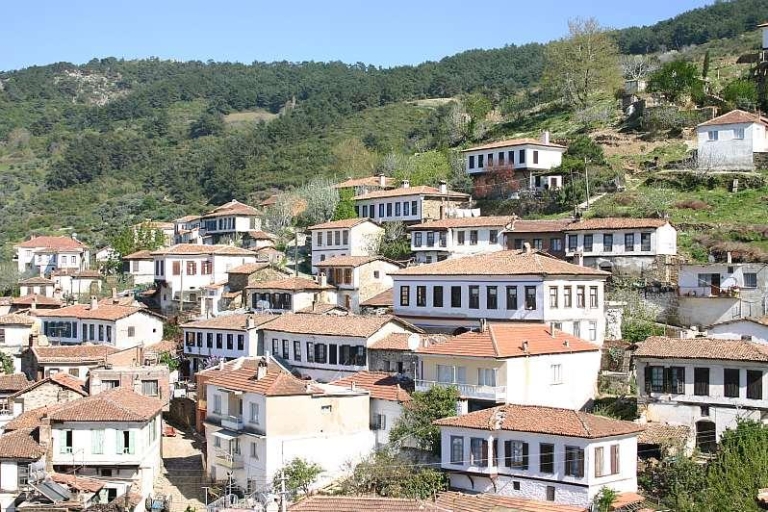 Visite privée d'Éphèse, des maisons en terrasse et du village de Sirince