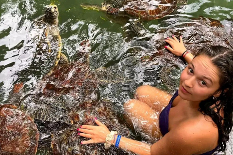 Zanzibar: Simma, snorkla och mata sköldpaddor på Baraka-akvarietHotelltransfer var som helst i Zanzibar