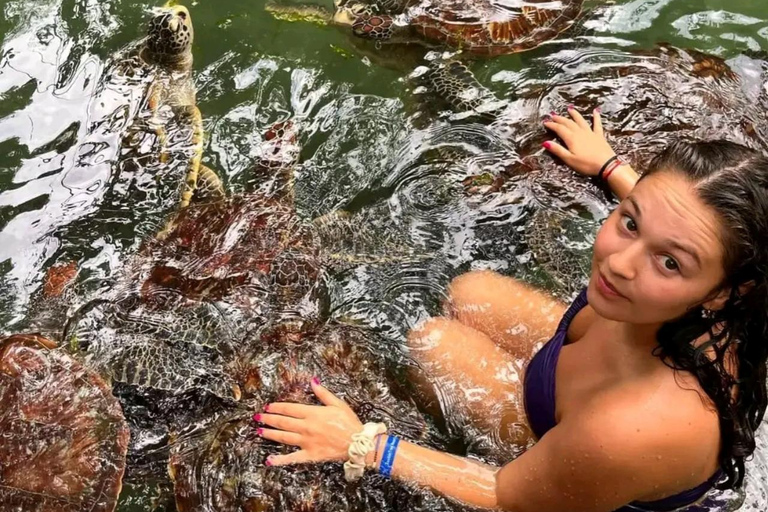 Zanzibar: Simma, snorkla och mata sköldpaddor på Baraka-akvarietHotelltransfer var som helst i Zanzibar