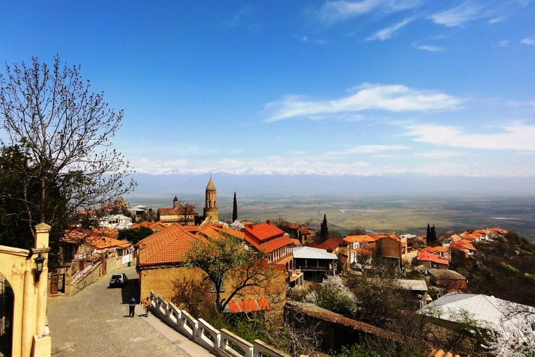 Tbilisi: David Gareja Klooster Full-Day Tour