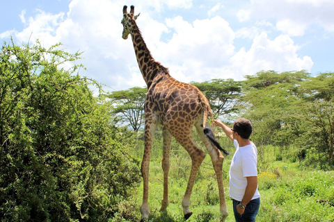 Excursión de un día:Safari a pie por Crescent Island y tour en barco por Naivasha