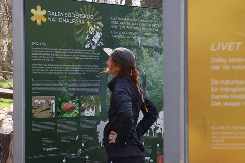 Lund: Dalby Söderskog National Park Guided Hike with Lunch