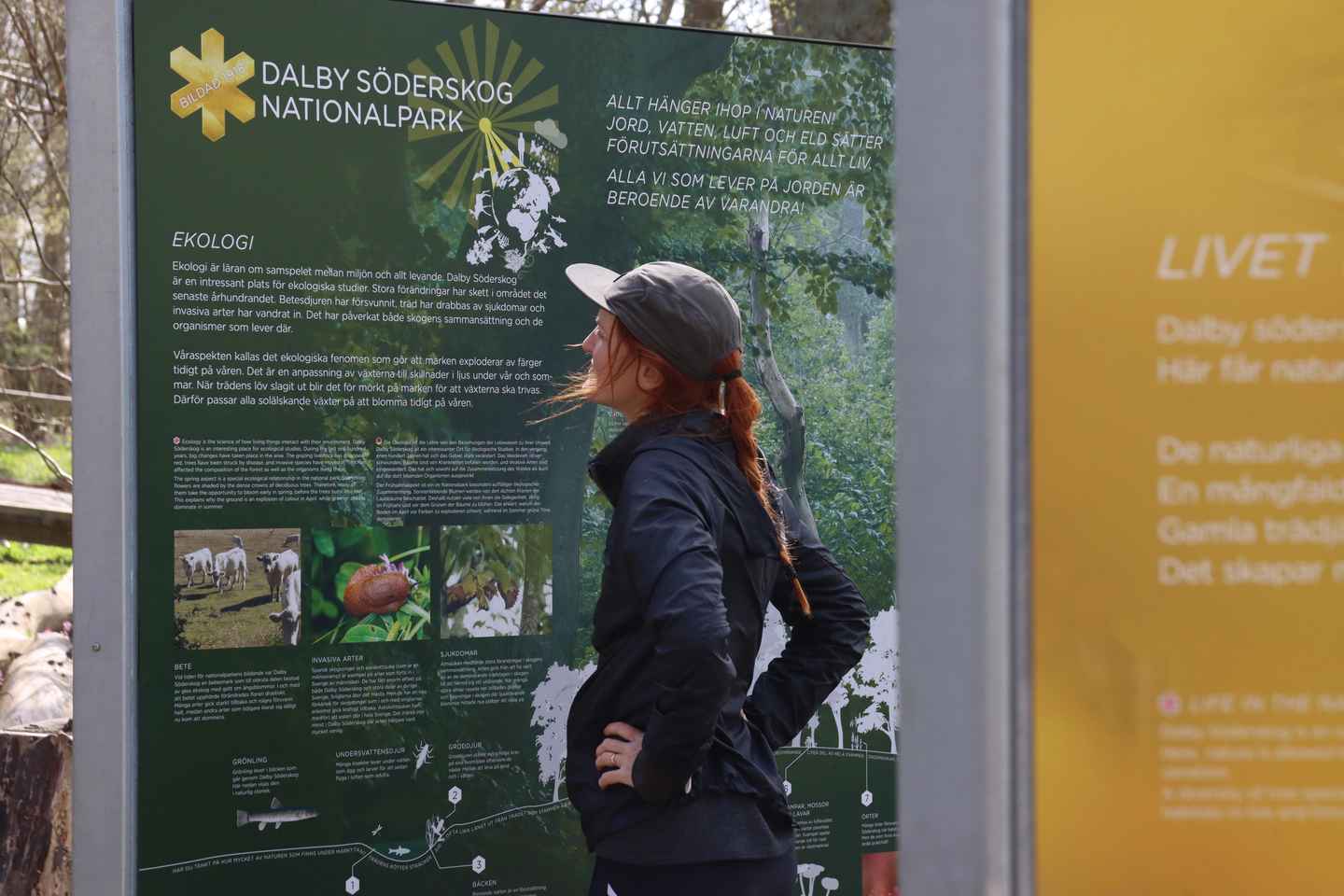 Skåne: guided hike in national park incl lunch close to Lund