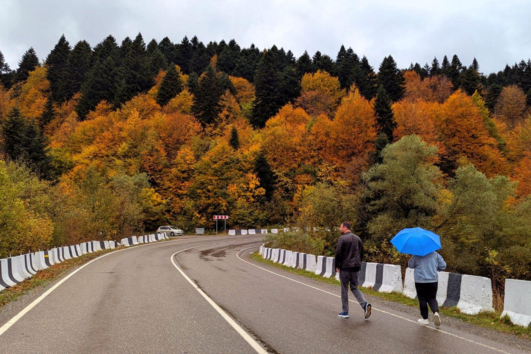راتشا بالألوان – مغامرة خريفية في جبال جورجياراشا بالألوان – مغامرة الخريف في جبال جورجيا