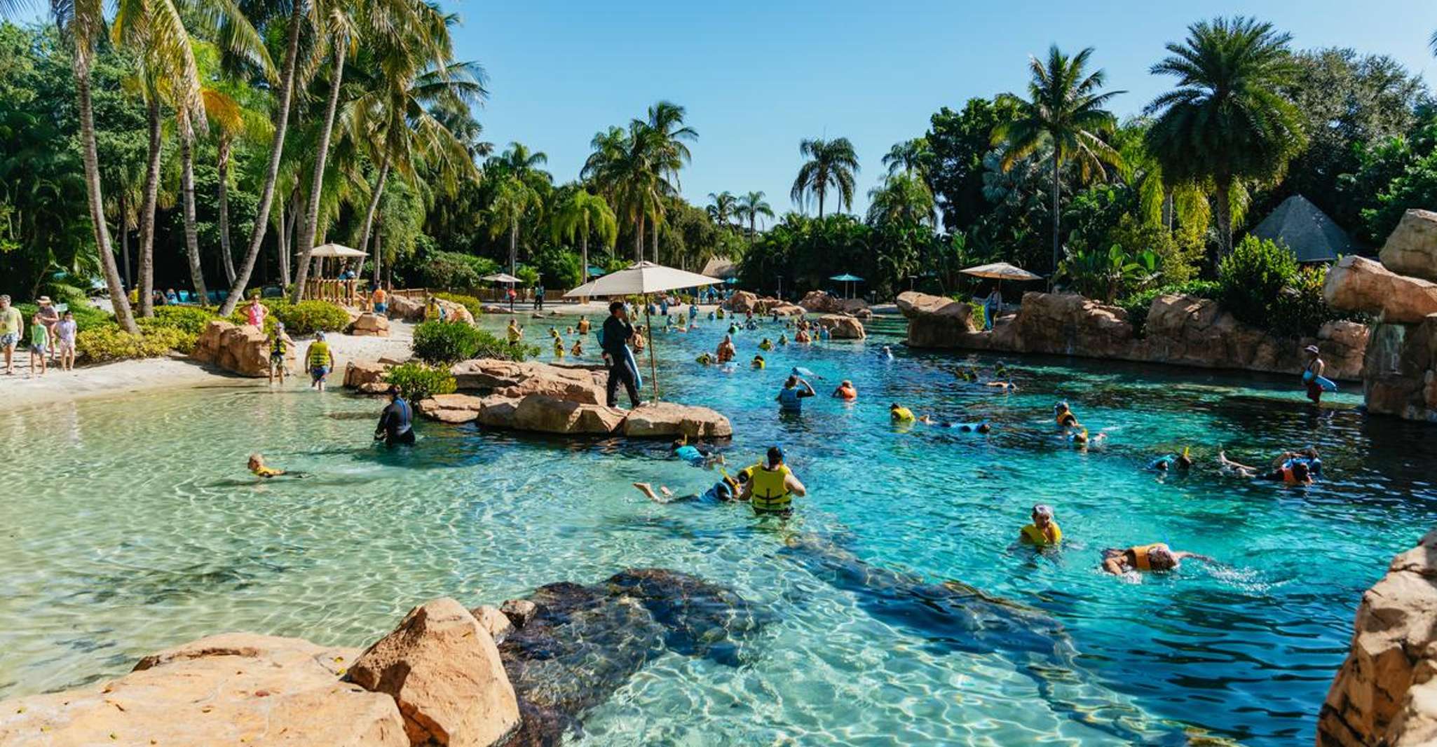 Orlando: Discovery Cove Admission Ticket & Additional Parks