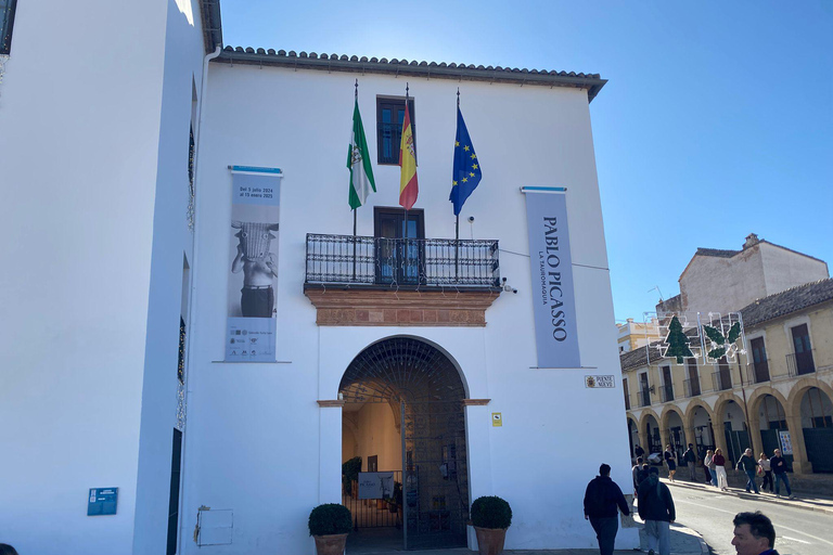 from Mijas, Malaga: Private tour Ronda incl. transfer, bullfighting arena and tapas