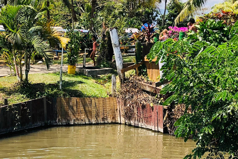 Ogród orchidei, wędrówka nad wodospad i gorące źródła SabetoFiji Marriott Resort/Queens Wharf Lautoka /Tanoa Waterfront