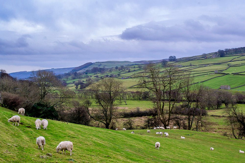 Die Yorkshire Dales-Tour ab YorkAb York: Tour in die Yorkshire Dales