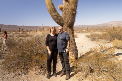 Cachi: Ruta Escénica y Experiencia Local desde Salta