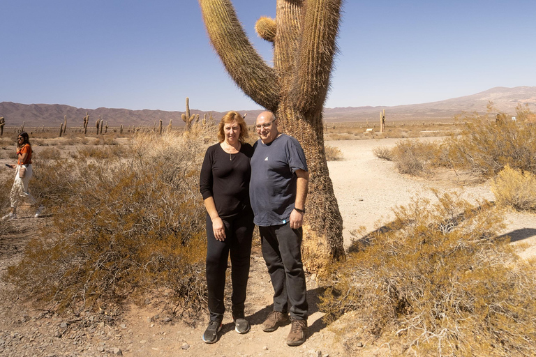 Cachi: Ruta Escénica y Experiencia Local desde Salta